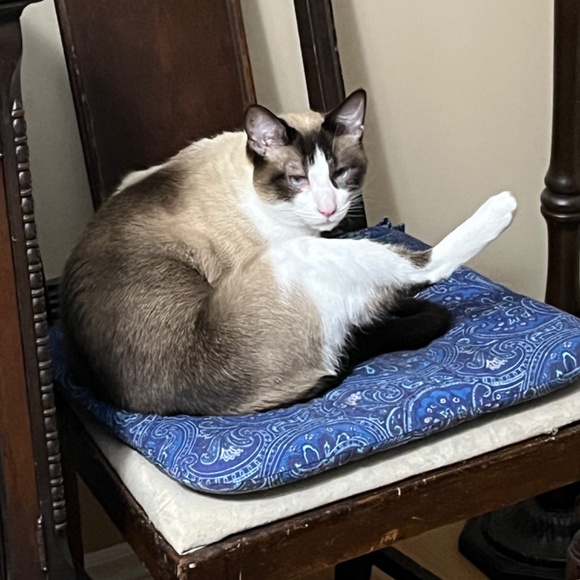 Meet your Posher, Susanne - Picture 2 of 16